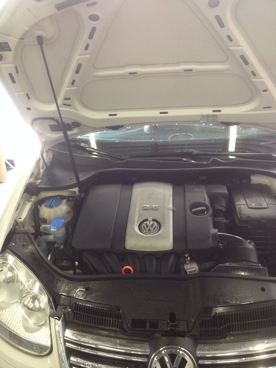 2009 Volkswagen Jetta
