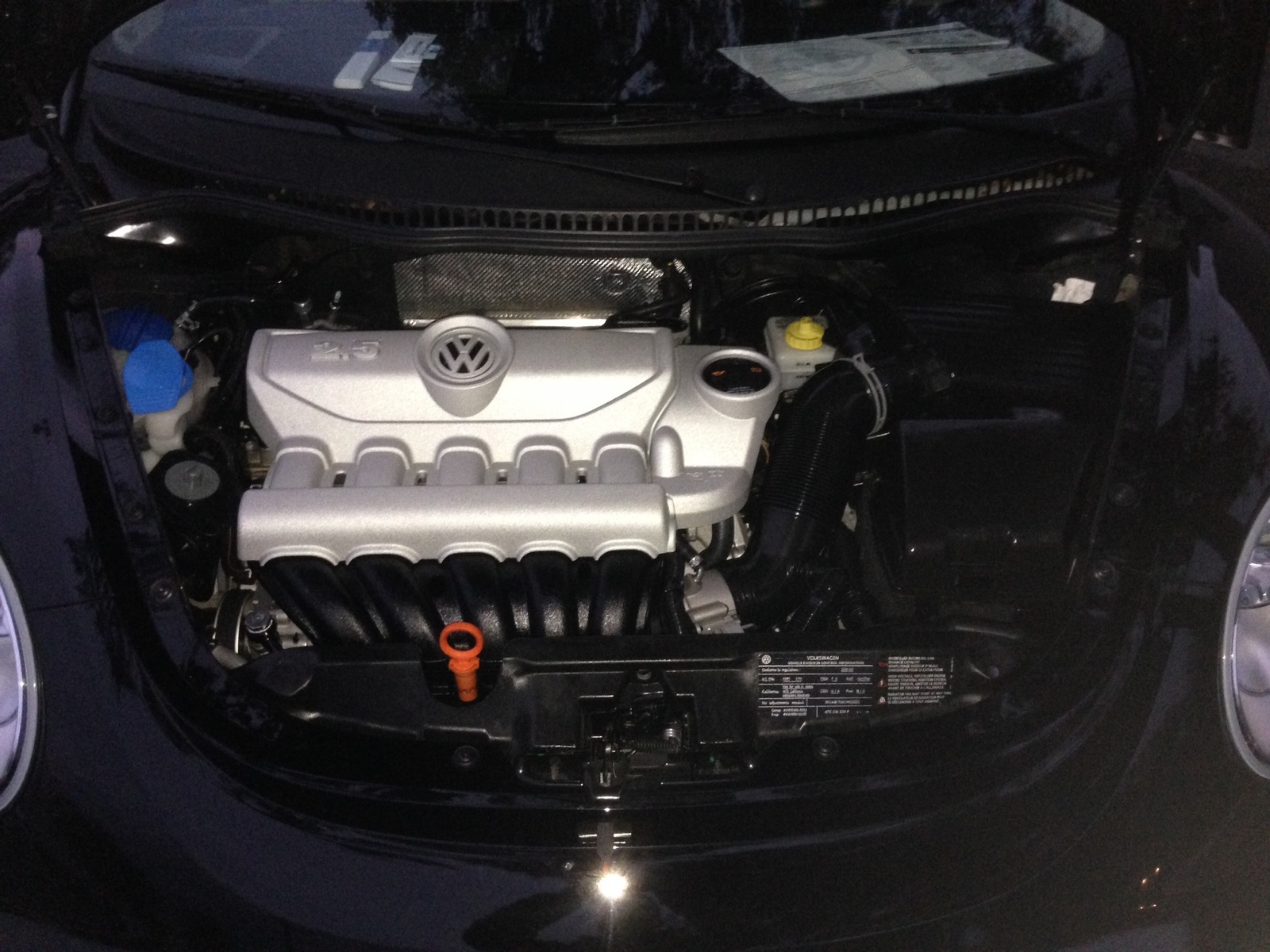 2010 Volkswagen Beetle