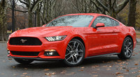 Mustang Mustang