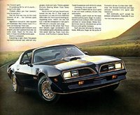 1977 Pontiac Firebird Overview 1977 Pontiac Firebird Overview
