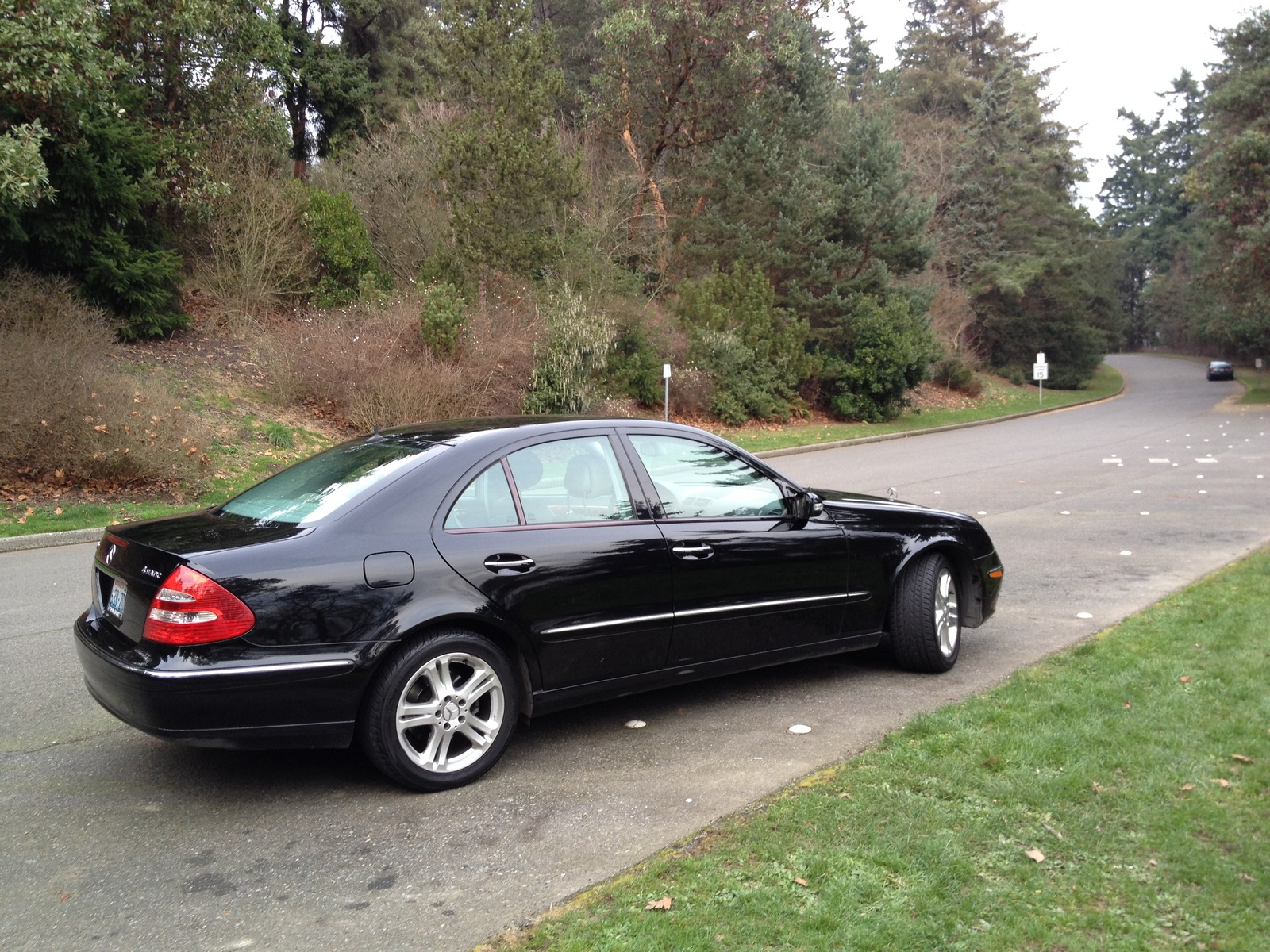 2006 Mercedes Benz E Class Pictures Cargurus