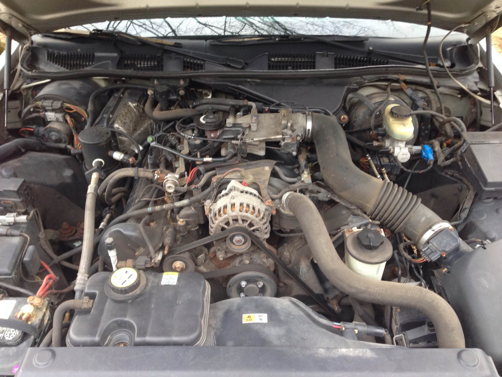 2001 Ford Crown Victoria Pictures CarGurus