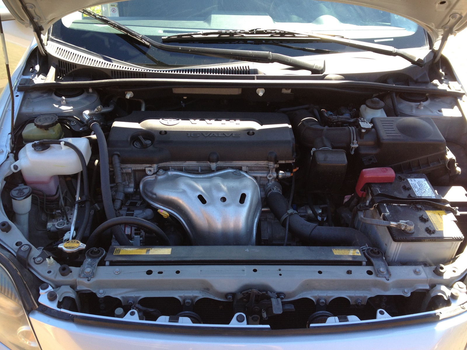 2010 Scion tC