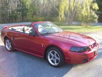Mustang SVT Cobra Mustang SVT Cobra