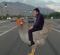 HECTORINTUCSON HECTORINTUCSON