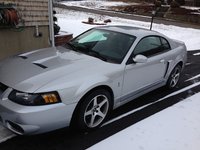 Mustang SVT Cobra Mustang SVT Cobra