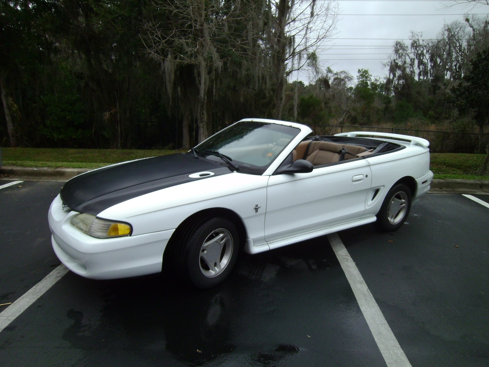 1998 Ford Mustang