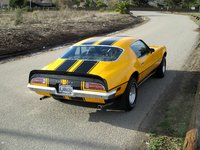 Firebird Firebird