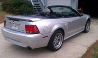 Mustang SVT Cobra Mustang SVT Cobra