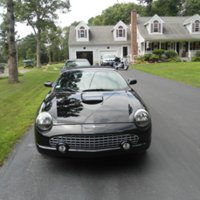 Thunderbird Thunderbird