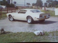 1971 Pontiac Firebird Overview 1971 Pontiac Firebird Overview