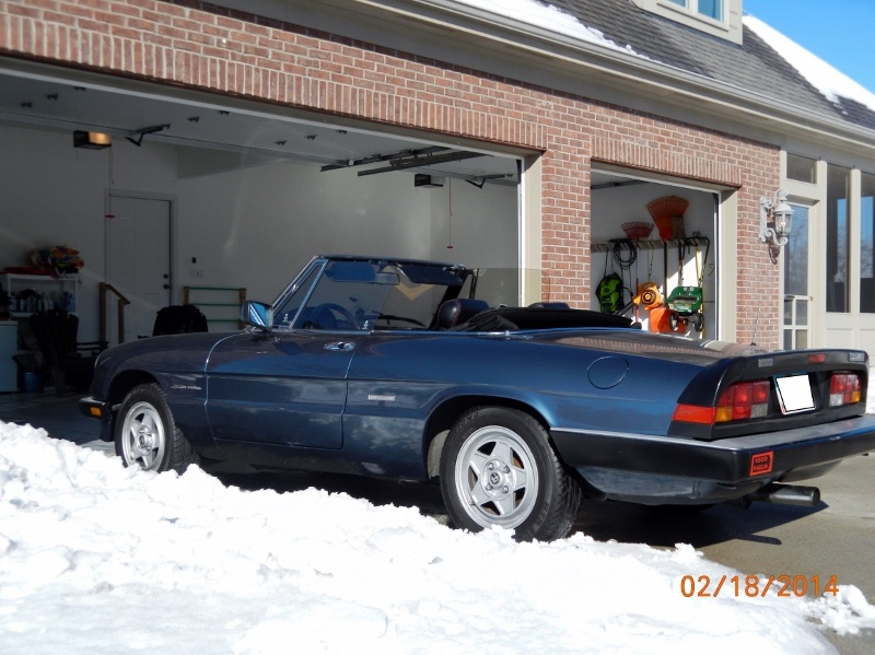 1987 Alfa Romeo Spider Overview Cargurus