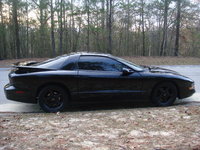 Firebird Firebird