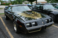 1981 Pontiac Trans Am Overview 1981 Pontiac Trans Am Overview