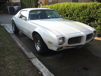 Firebird Firebird