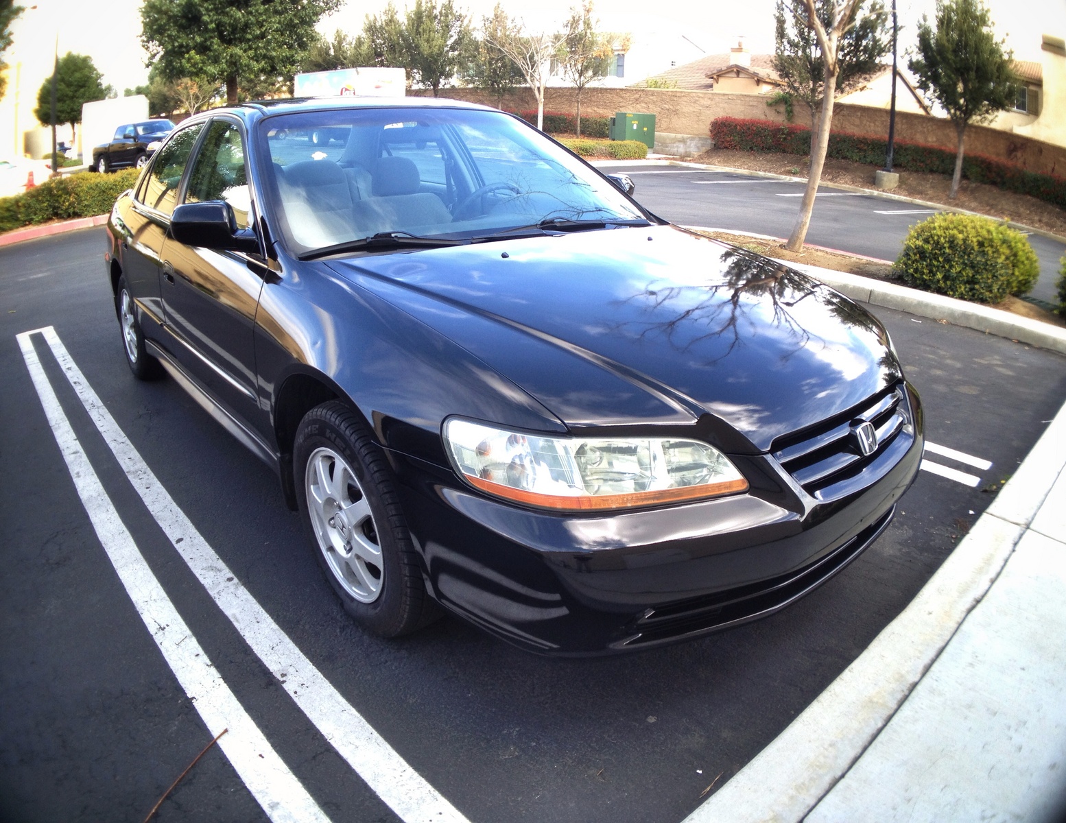 2002 Honda Accord