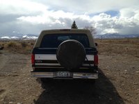 Bronco Bronco