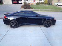 Tiburon Tiburon