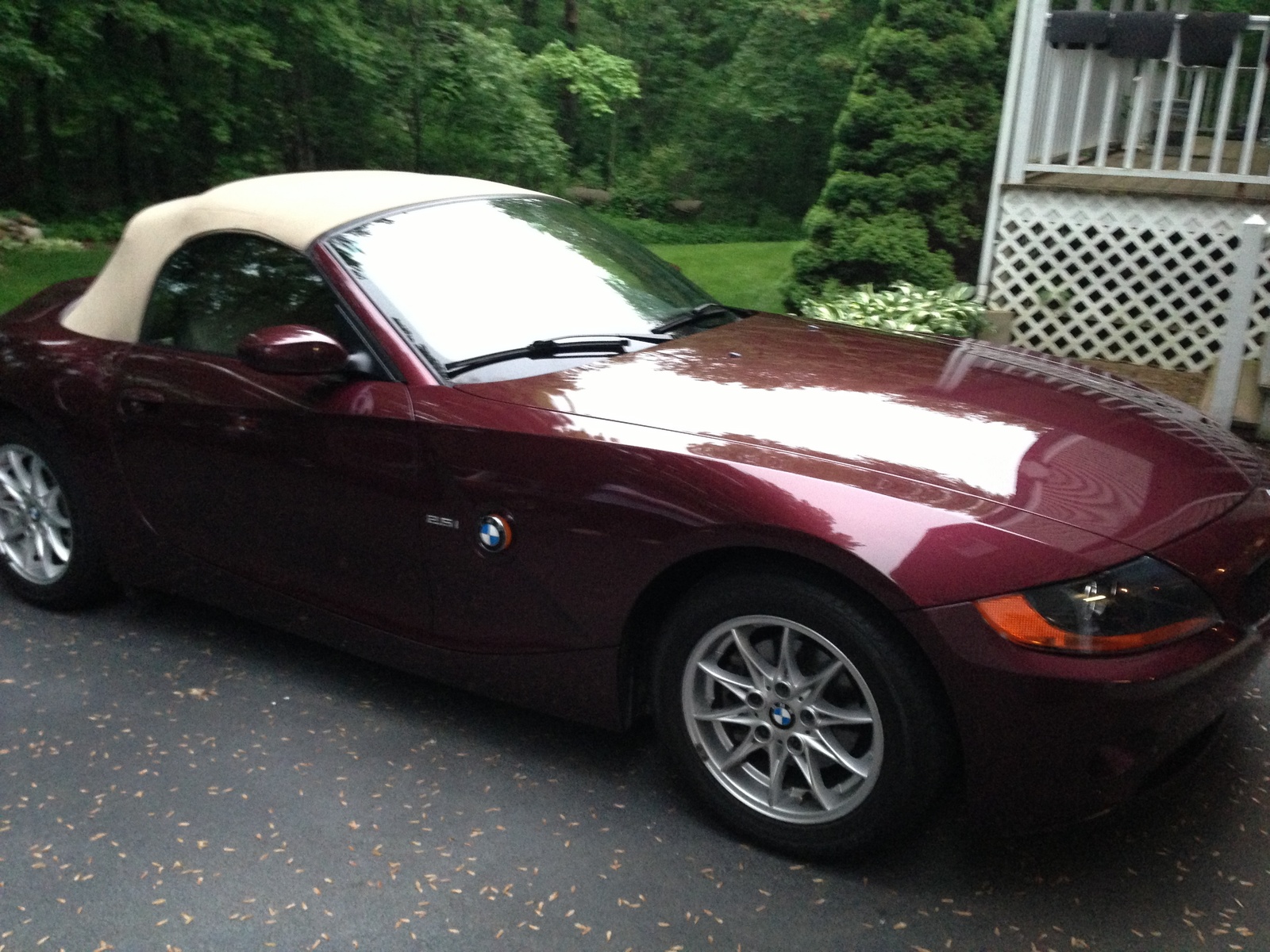 2003 Bmw z4 rollover protection