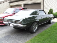 Firebird Firebird