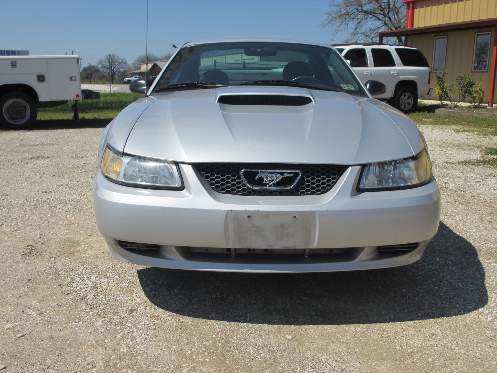2004 Ford mustang gt horsepower and torque #8