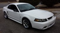 Mustang SVT Cobra Mustang SVT Cobra