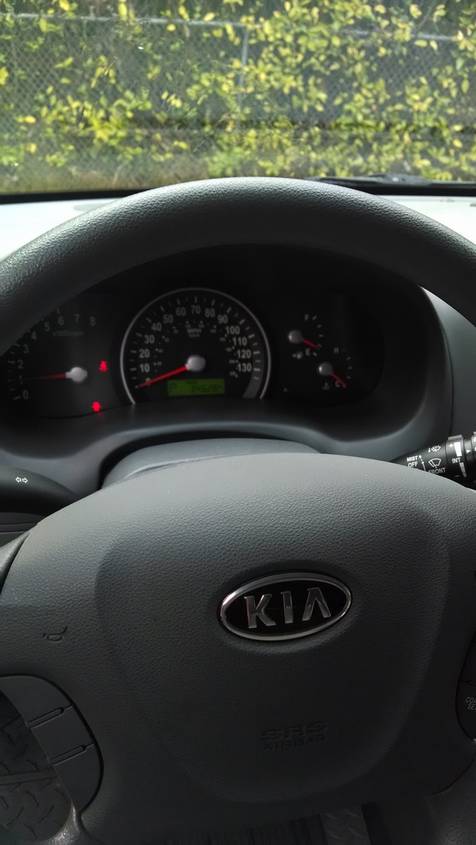 2009 Kia Sedona