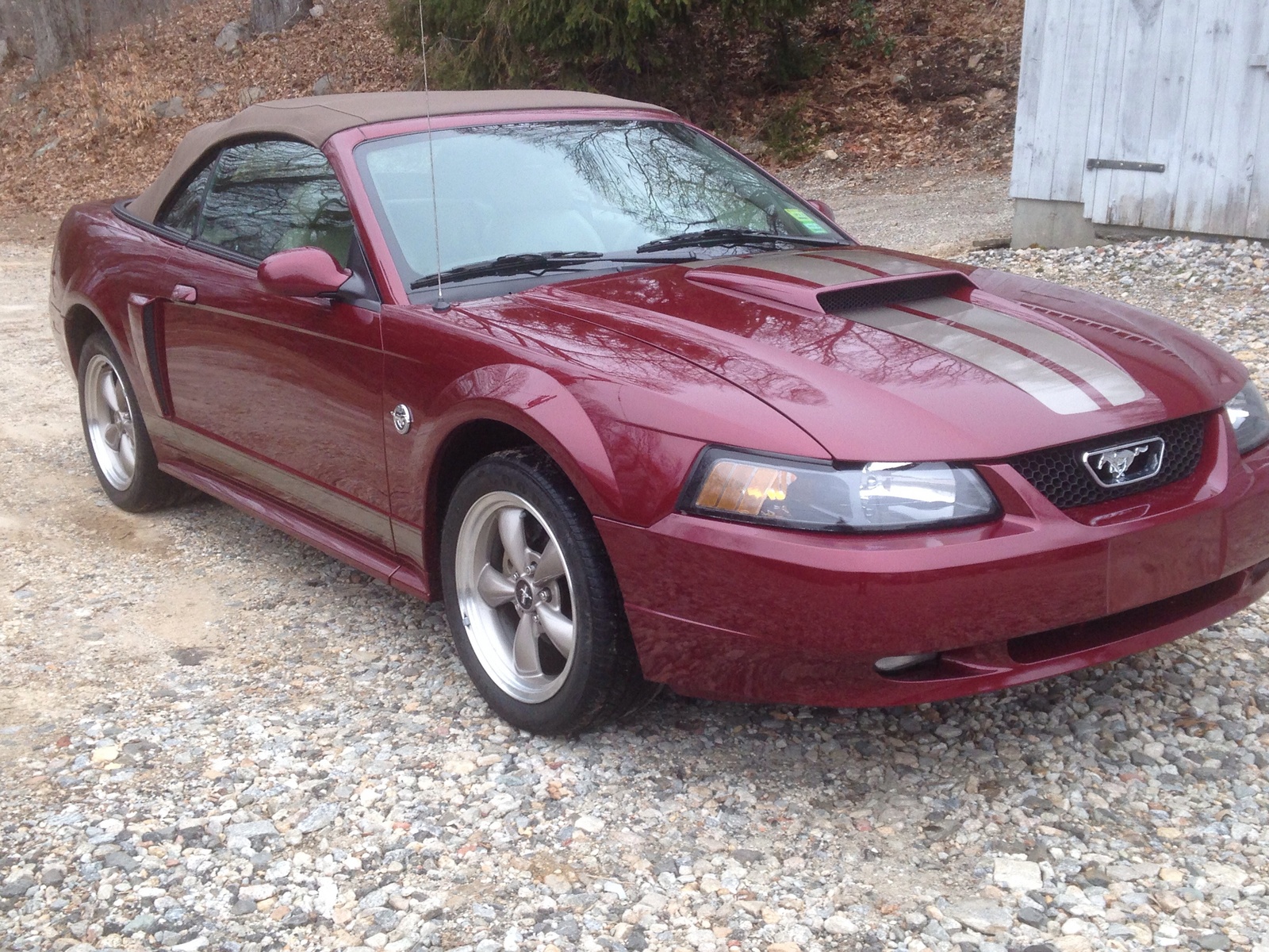 2004 Ford Mustang