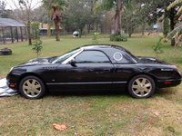 Thunderbird Thunderbird