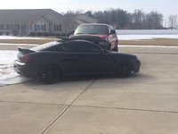 Tiburon Tiburon