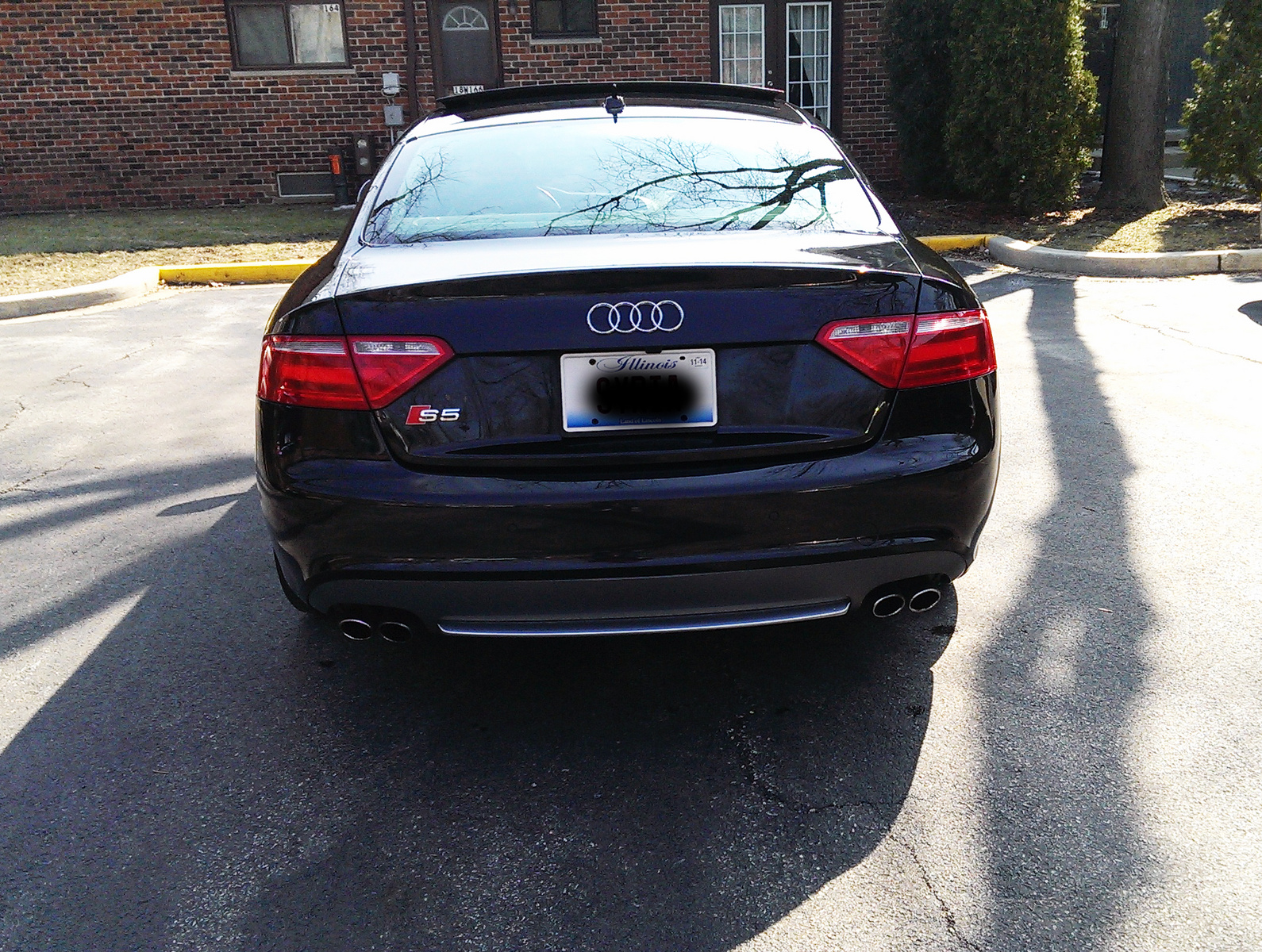 2008 Audi S5