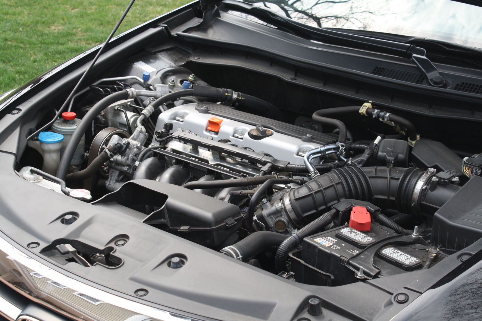 2011 Honda Accord