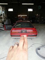 Firebird Firebird