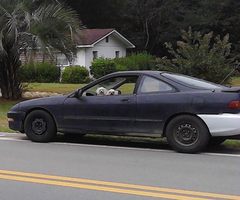 1996 Acura Integra Overview Cargurus