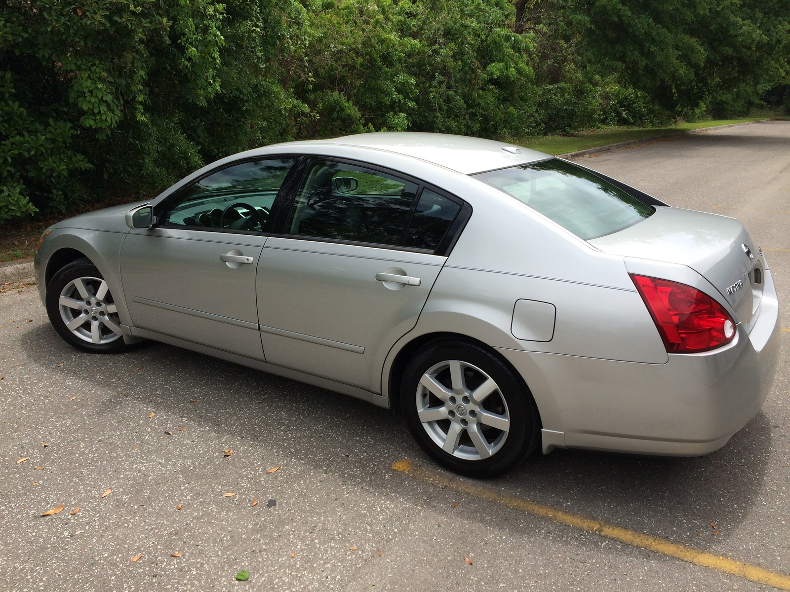 2006 Nissan Maxima Pictures CarGurus