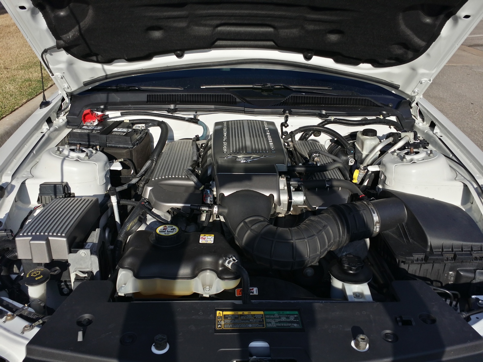 2009 Ford Mustang