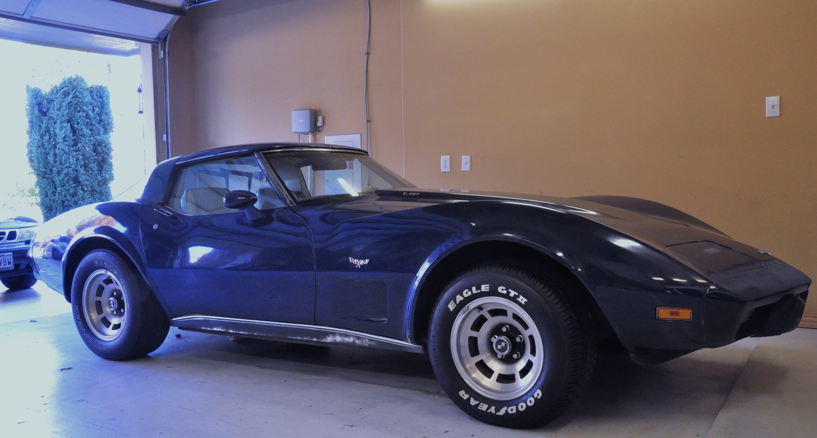 1979 Chevrolet Corvette
