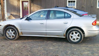 Alero Alero