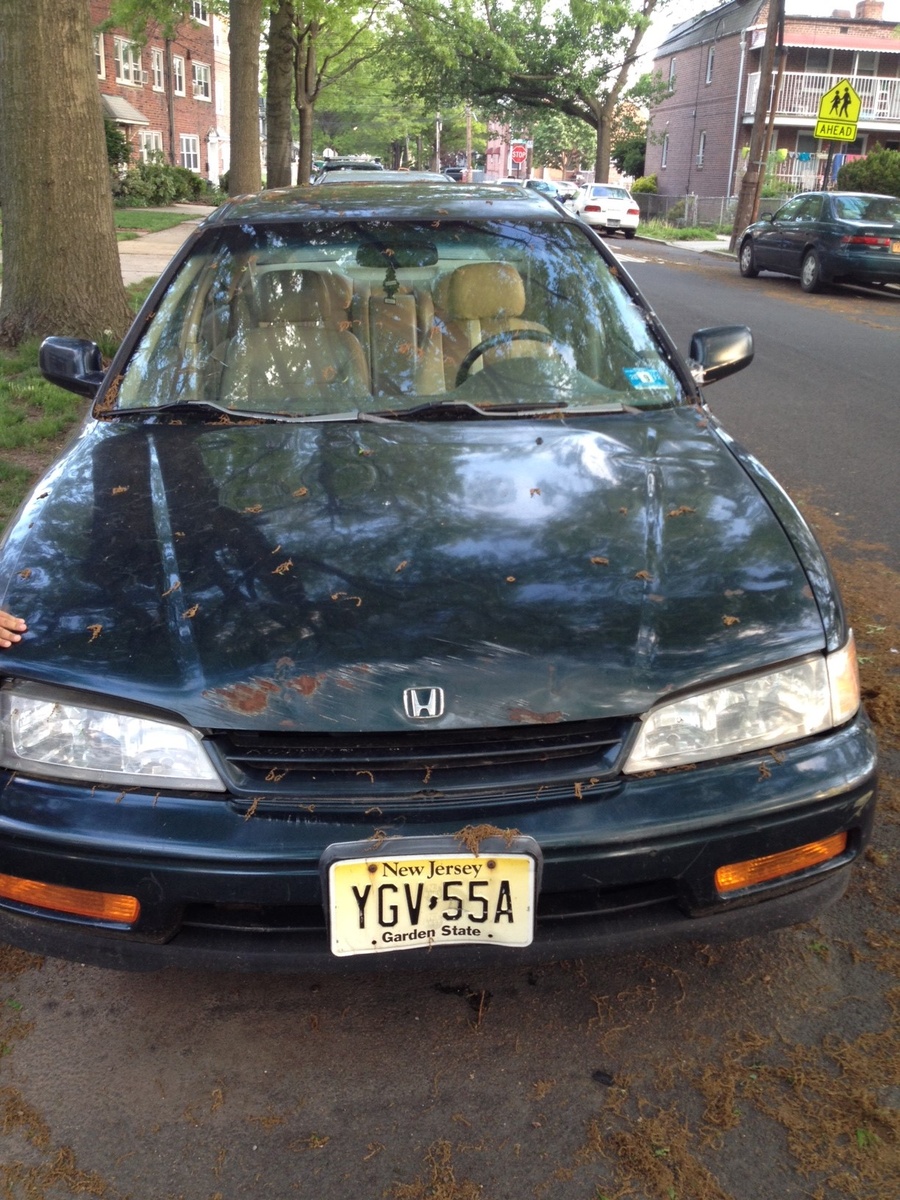 1994 Honda accord trunk space #5