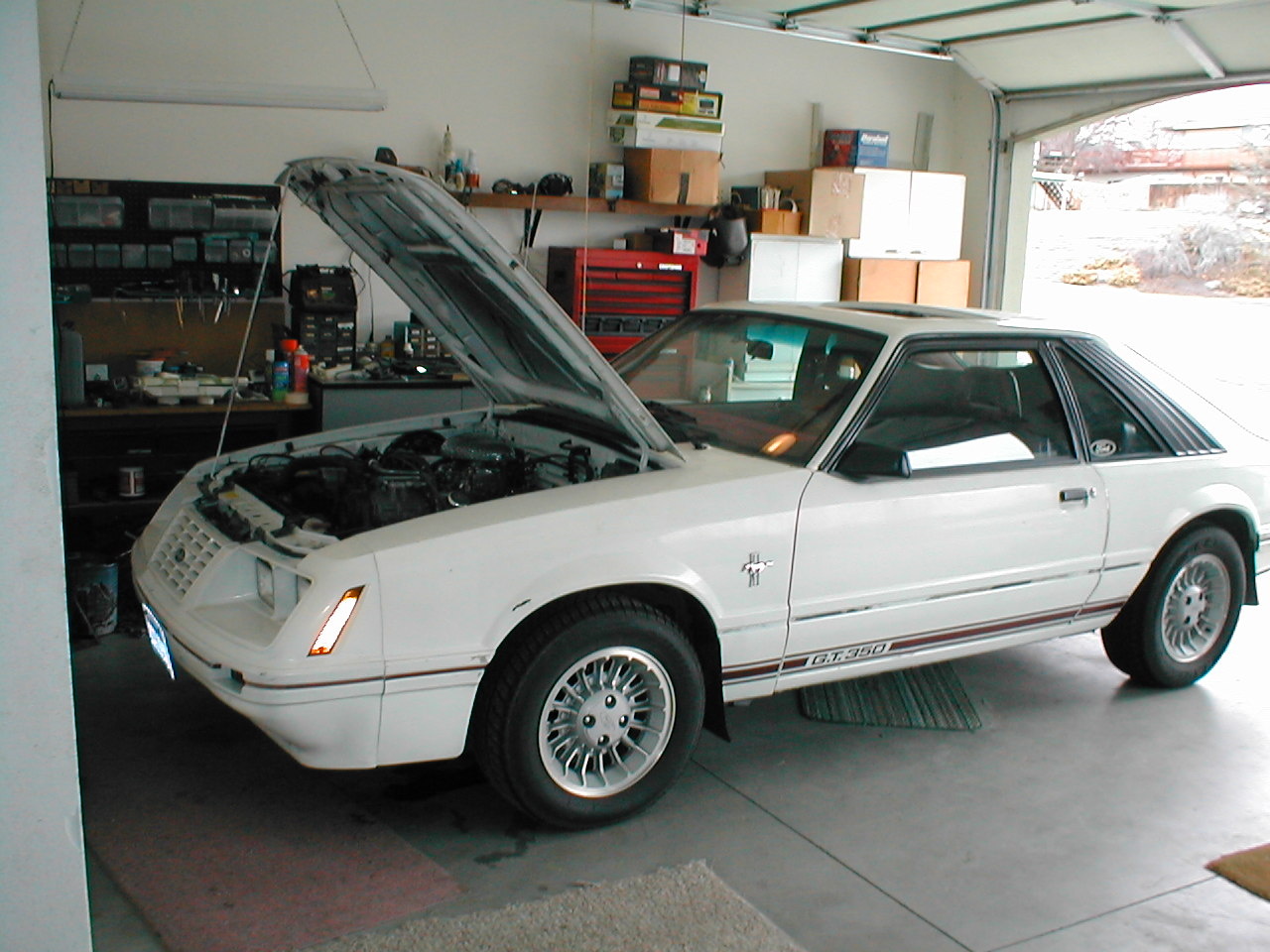 1984 Ford Mustang