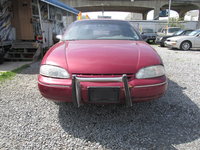Lumina Lumina