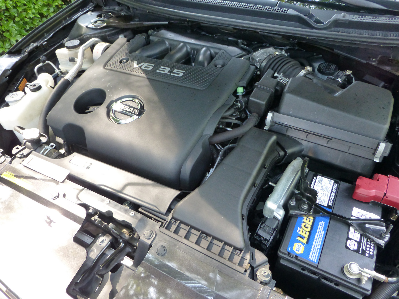 2010 Nissan Altima Coupe