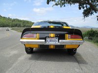 Firebird Firebird