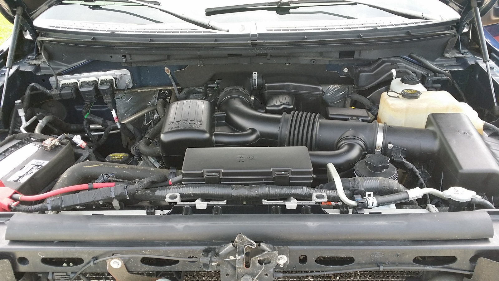 2010 Ford F-150