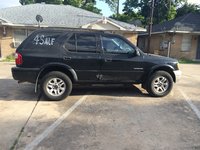 Rodeo Rodeo