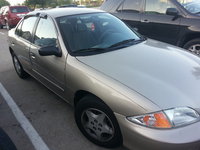 Cavalier Cavalier