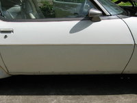 Firebird Firebird
