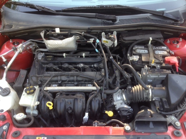 2008 Ford Focus