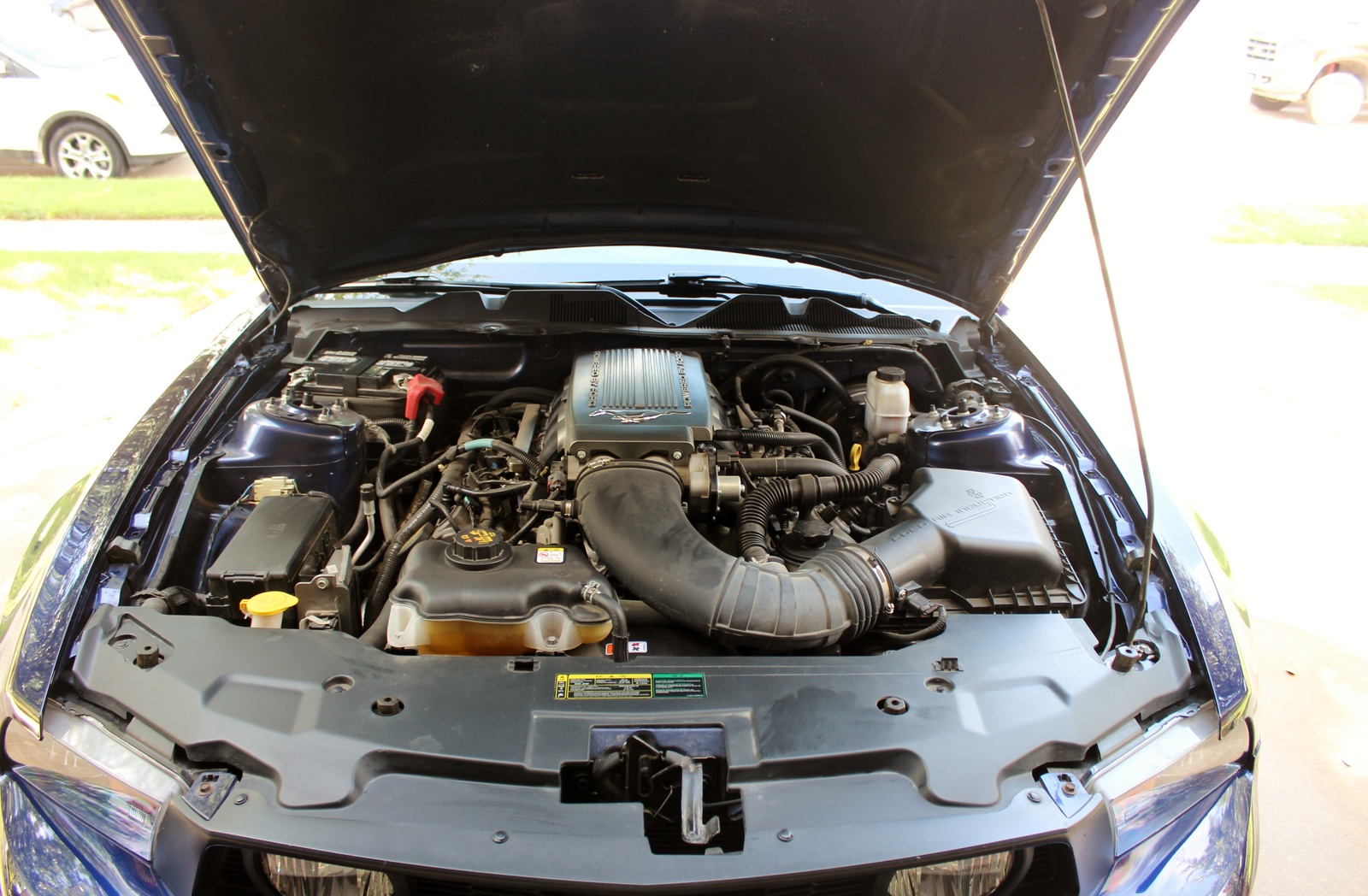 2010 Ford Mustang