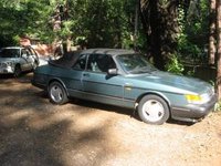 900 900